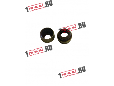 Колпачок маслосъемный WP12 SHAANXI / Shacman (ШАНКСИ / Шакман) 61800050151 фото 1 Стерлитамак