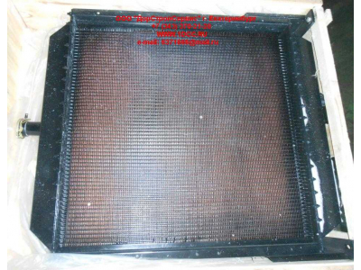 Радиатор охлаждения двигателя CDM 855EK Lonking CDM (СДМ) CDM855EK.01I.04 фото 1 Стерлитамак