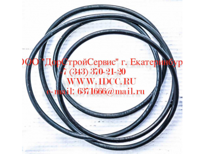 Кольцо уплотнительное ø338х3.55 гидромуфты ГТР CDM 833 Lonking CDM (СДМ) ø338х3.55 фото 1 Стерлитамак