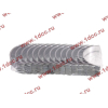 Вкладыши коренные стандарт +0.00 (14шт) LONGGONG CDM833 Lonking CDM (СДМ) 13034908/13034916 фото 2 Стерлитамак